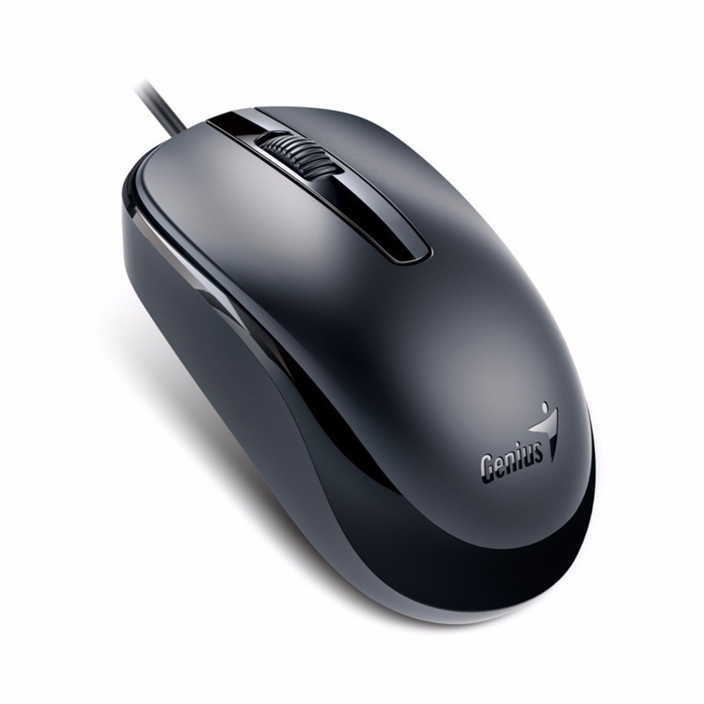 MOUSE GENIUS DX-120 NEGRO